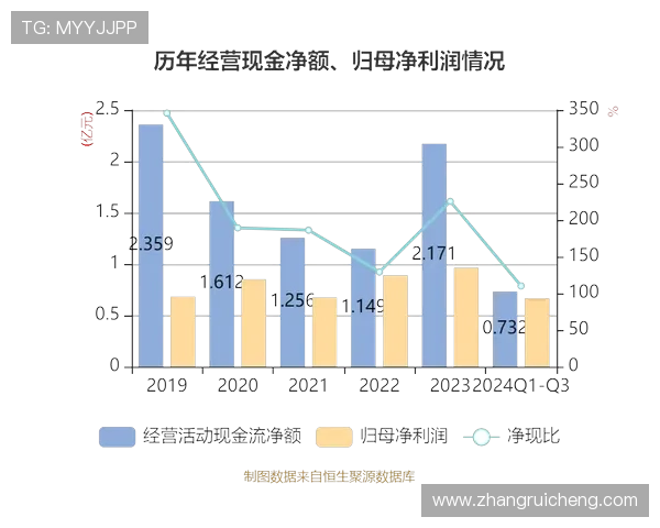 凯发集团怎么样:财务状况与盈利能力的详细评估报告